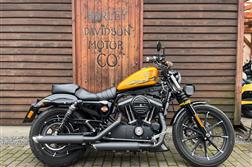 <span>Harley-Davidson</span> XL 883N Sportster Iron
