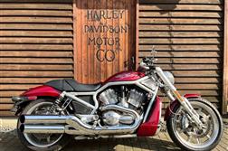 <span>Harley-Davidson</span> VRSCR - Street Rod